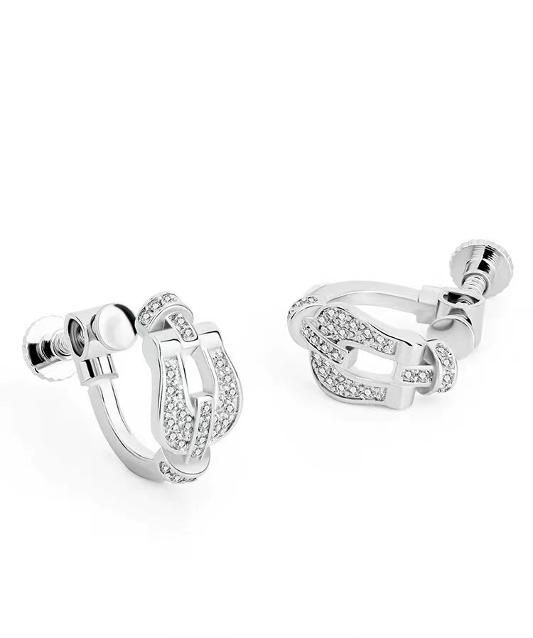 Horseshoe Buckle Ear Studs Women's Unique Exquisite Zircon Earrings 2024 New Ear Accessories
