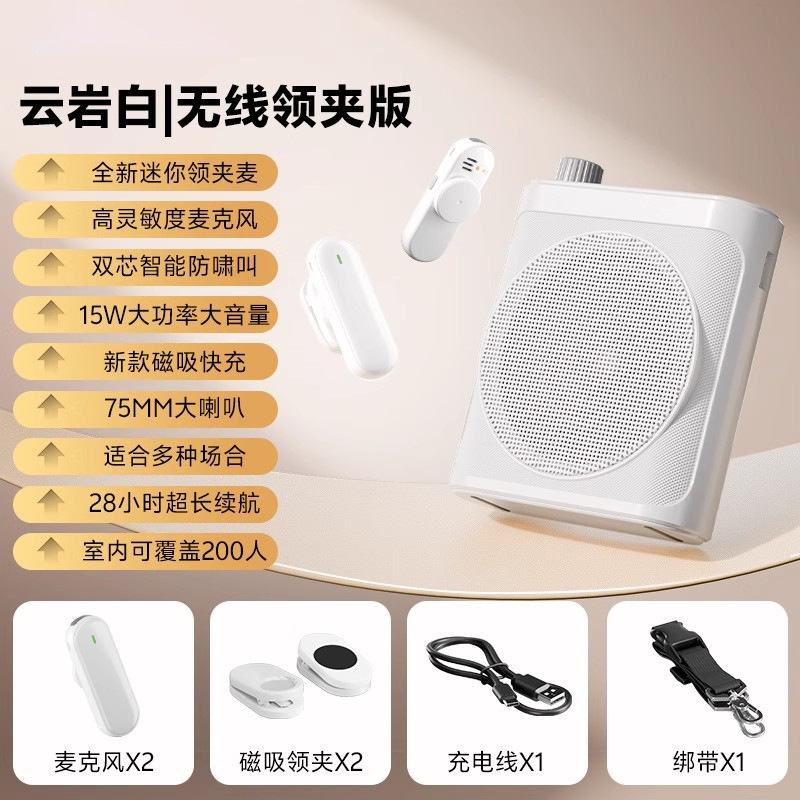 Custom Bee Speaker Amplifier Clip-on Loud Volume Amplifier Sales Portable Wireless Amplifier Teacher