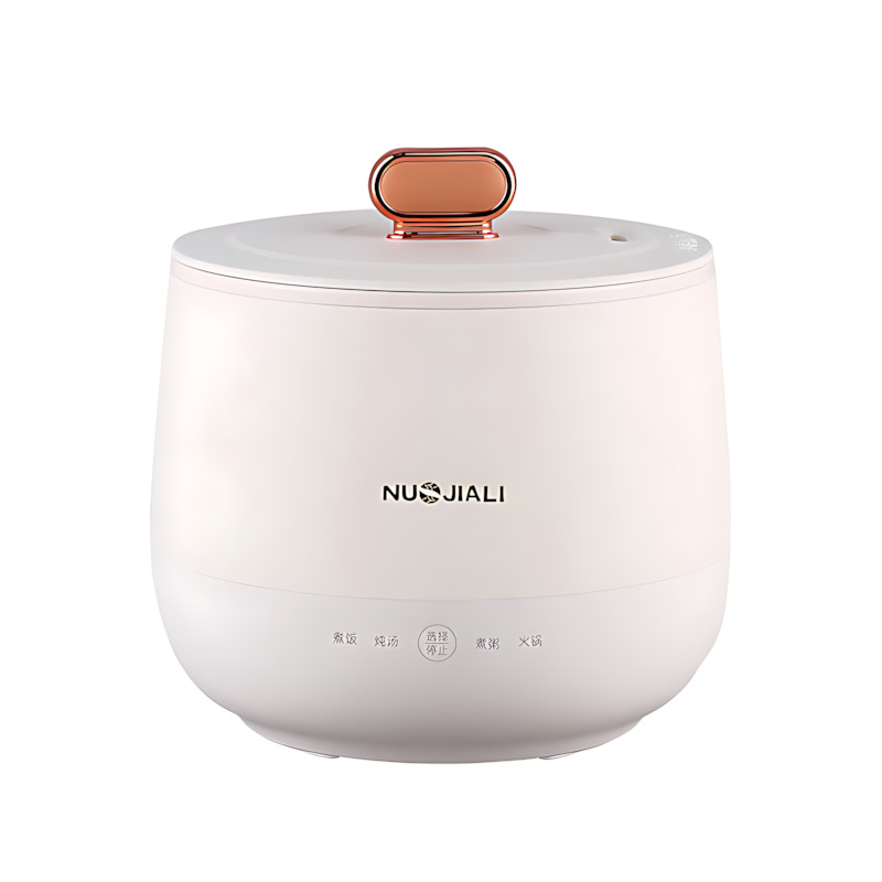 German Portable Mini Rice Cooker Household Smart Electric Stew Multifunctional Stew Soup Cook Rice Dormitory Rice Cooker