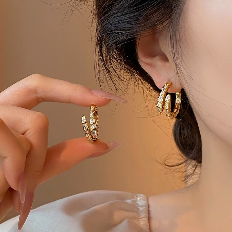 Snake Shape Zircon Earrings Ear Studs 2023 New Earrings for Women