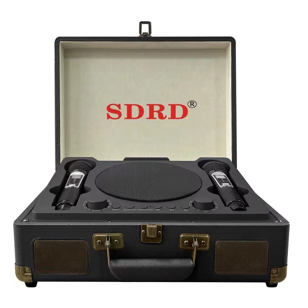 SD2109 Bluetooth Speaker Wireless Microphone Microphone Singing All-in-One Handheld Outdoor Portable K Song