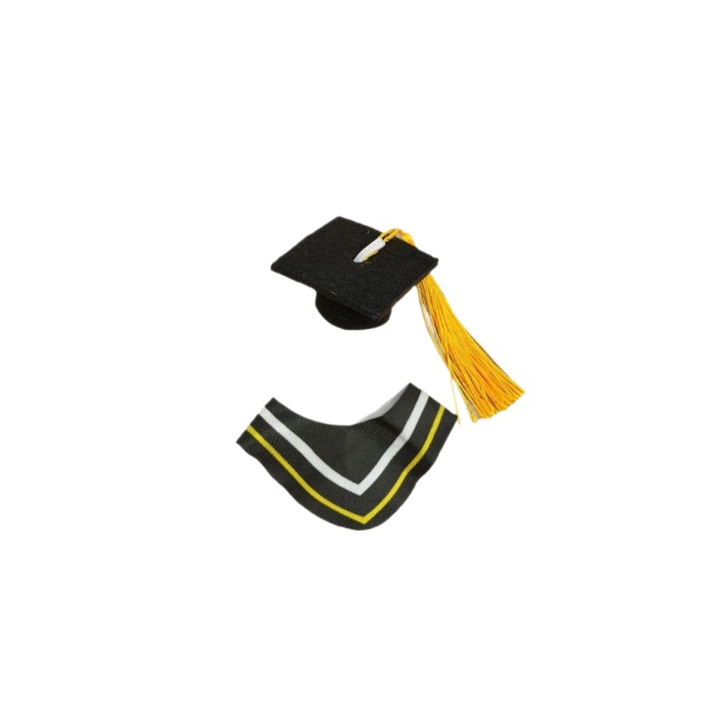 15CM doctoral uniform graduation bear plush toy teddy bear graduation souvenir with doctoral cap scarf doll clothes