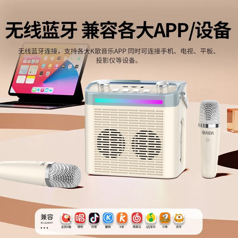P5E Bluetooth speaker portable outdoor plug-in card mini wireless speaker K歌 microphone speaker all-in-one