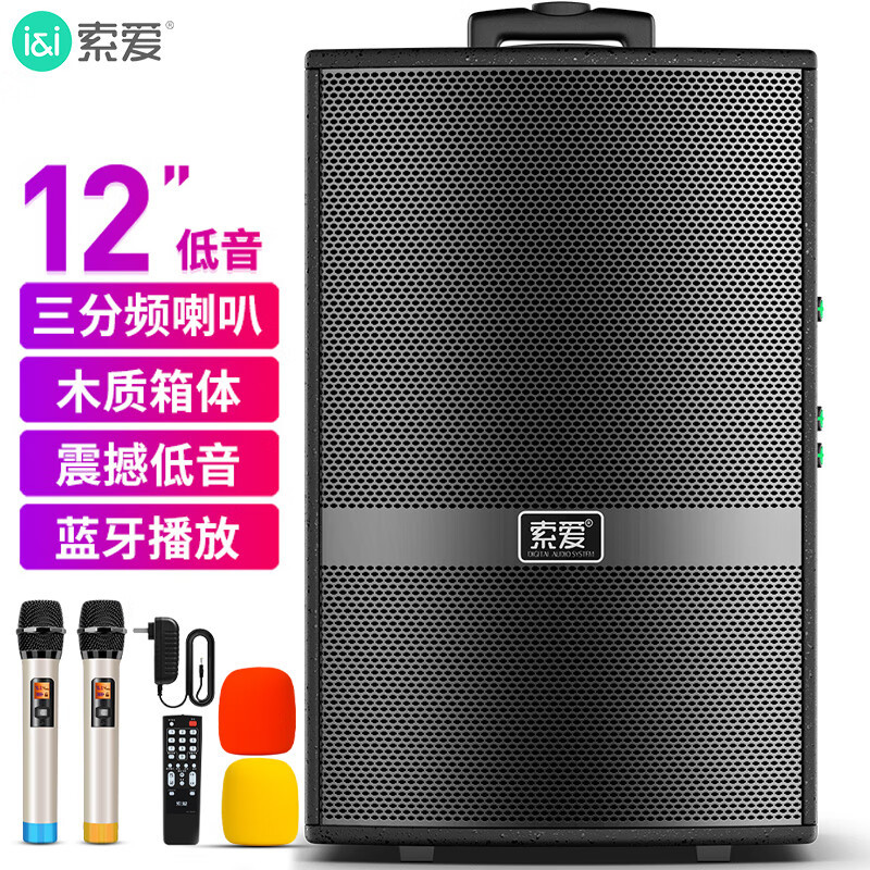 12英寸+三分频+木质箱体+双话筒