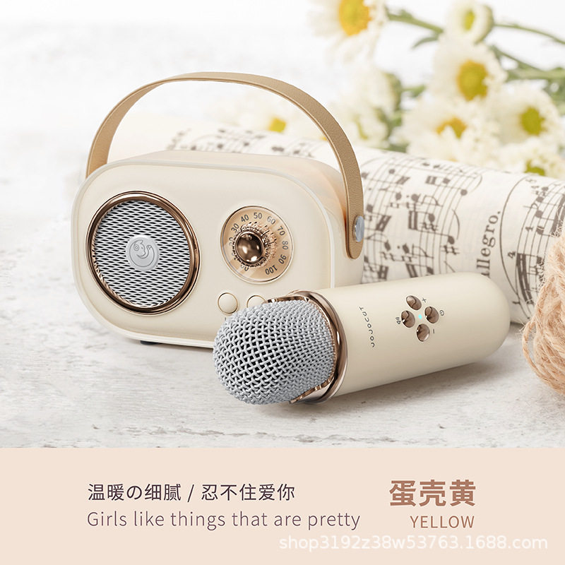 C20 Wireless Microphone Speaker All-in-One Wireless Bluetooth National K Song Children Singing Home Speaker