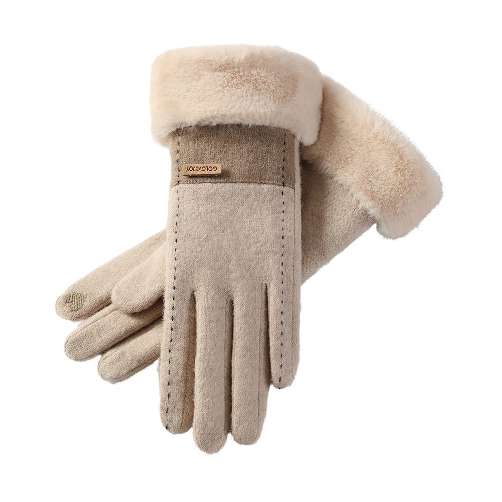 Winter new cashmere gloves women outdoor small fragrance style fleece thickened warm gloves cold-resistant touch screen DY50
