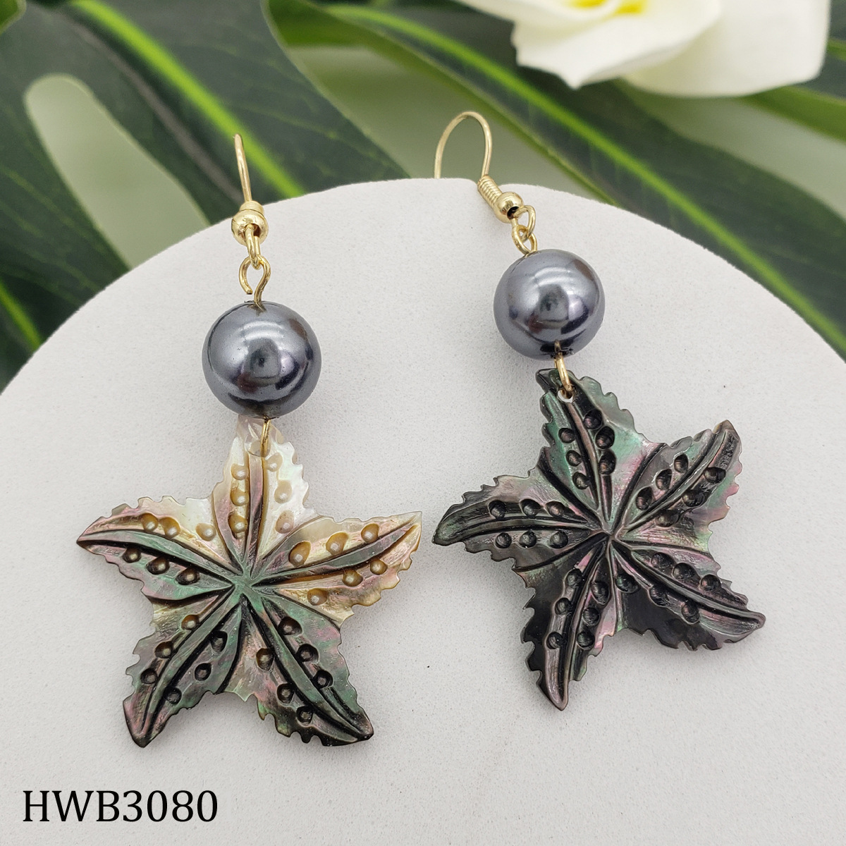 Exclusive Natural Black Shell Earrings Tropical Island Style Shell Pearl Earrings for Women