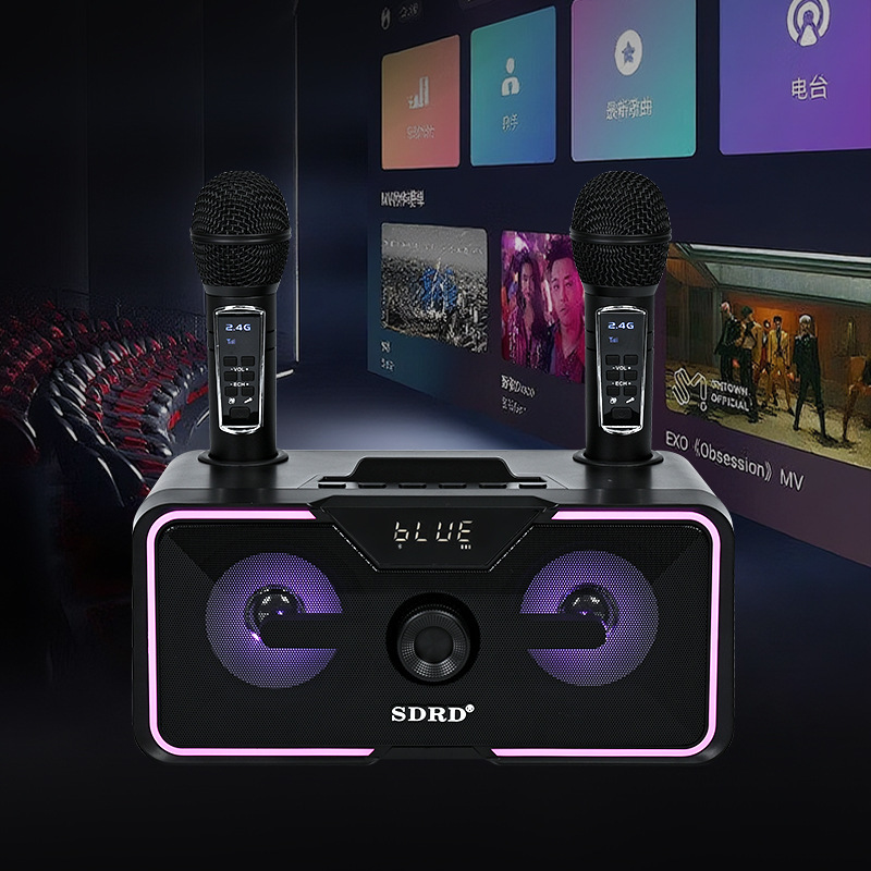 SD-215 Bluetooth Audio Wireless Karaoke Microphone Home KTV Speaker All-in-One Dual Mic RGB Light