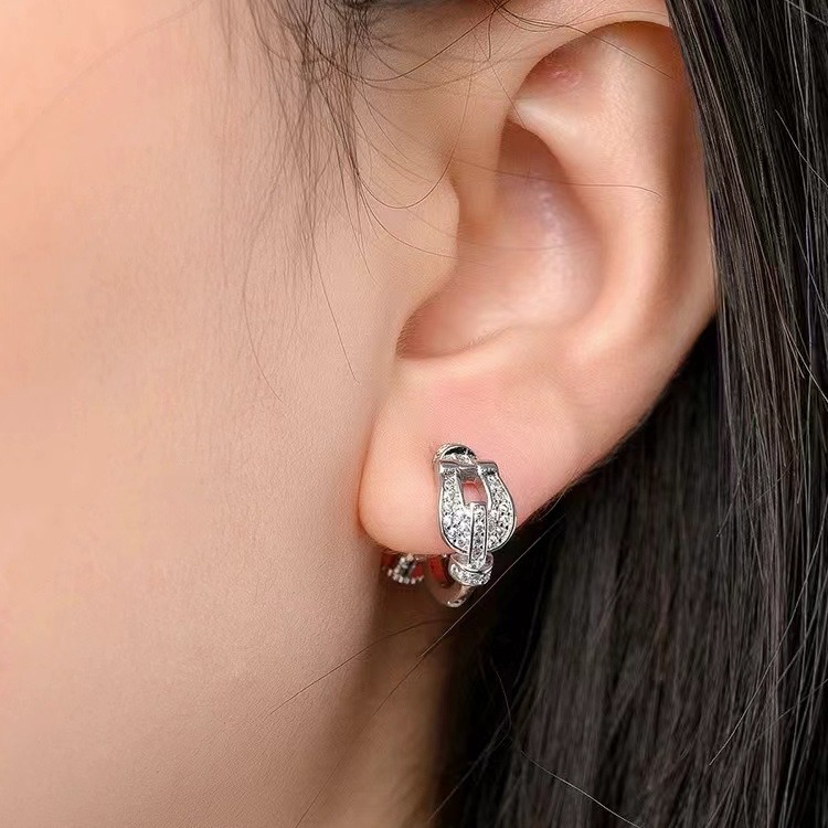 Horseshoe Buckle Ear Studs Women's Unique Exquisite Zircon Earrings 2024 New Ear Accessories