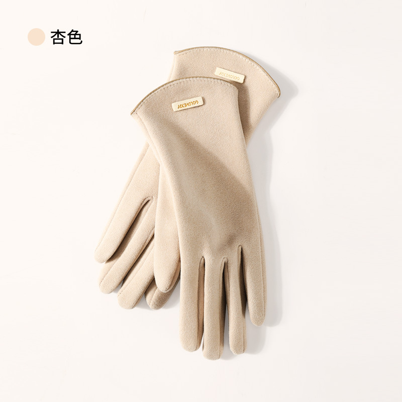 Winter new cashmere gloves women outdoor small fragrance style fleece thickened warm gloves cold-resistant touch screen DY50