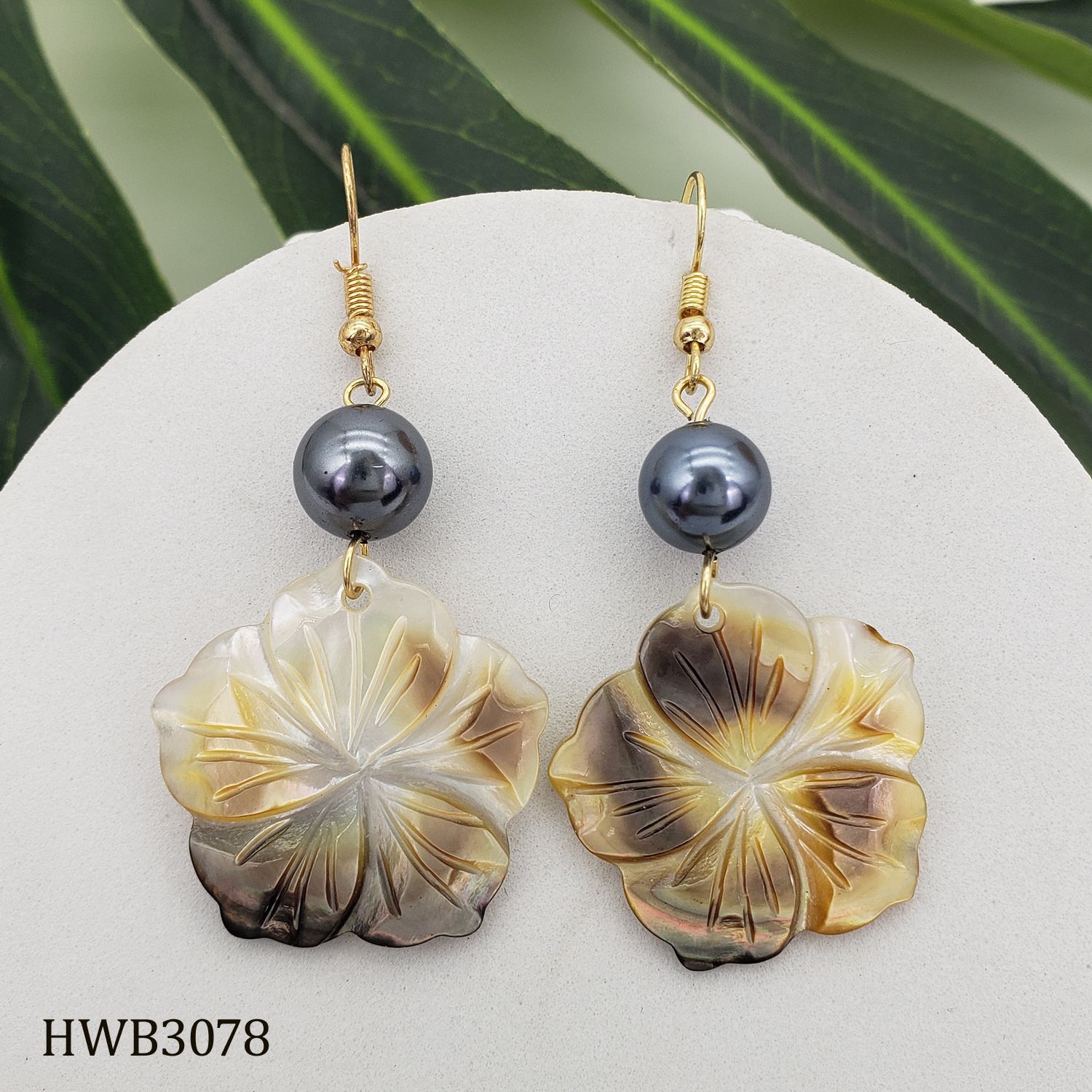 Exclusive Natural Black Shell Earrings Tropical Island Style Shell Pearl Earrings for Women