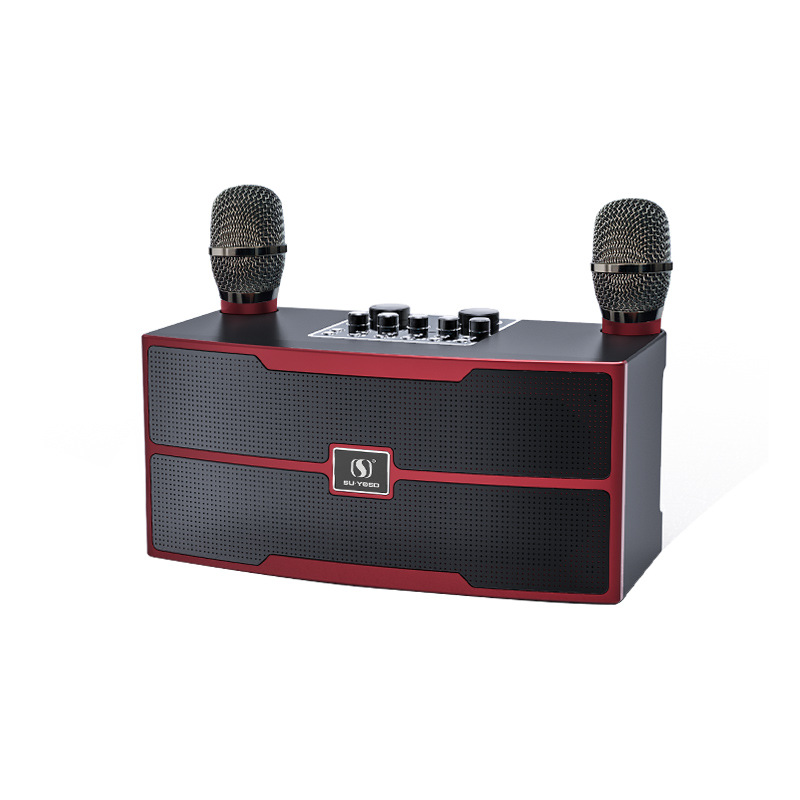 YS201 Wireless Bluetooth KTV Small Speaker Rock Bass Small Cannon Speaker Dual Microphone All-in-One Home Set