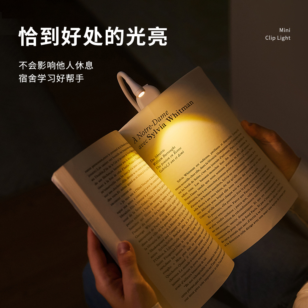 New Mini Small Desk Lamp USB Charging Portable Clip and Stand Dual Use Reading LED Night Light Gift