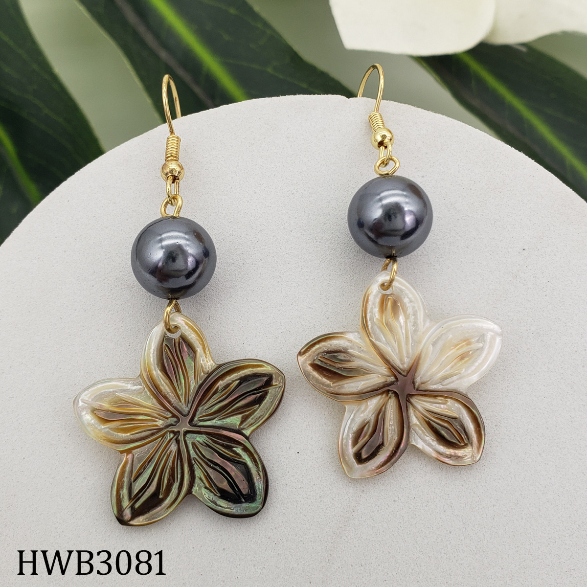 Exclusive Natural Black Shell Earrings Tropical Island Style Shell Pearl Earrings for Women
