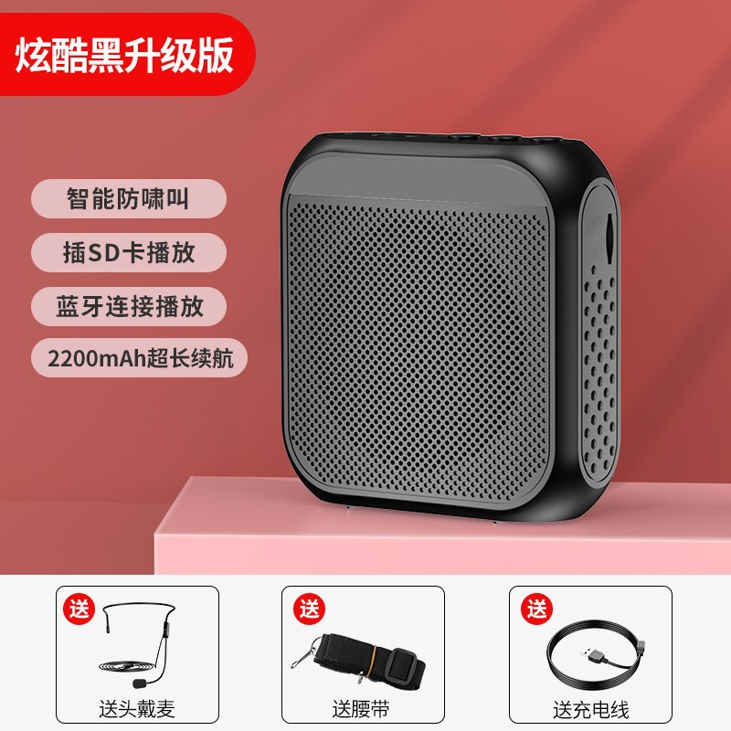 Noboxin S17 Bee Amplifier for Teacher Teaching, Tour Guide, Shopping Mall Waist-hanging Portable Sales Speaker Player