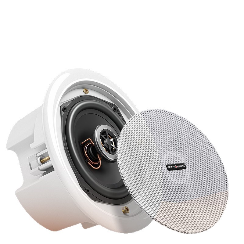 JinZheng Bluetooth coaxial ceiling audio living room ceiling shop speaker dedicated amplifier commercial supermarket restaurant